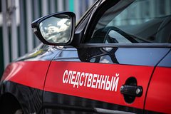 СК рассказал об экспертизах по делу 14-летней последовательницы битцевского маньяка