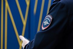 Полиция изложила свою версию произошедшего с насаженной на штырь забора девушкой
