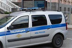 МВД задержала похищавшего через абонентские номера госуслуги россиянина